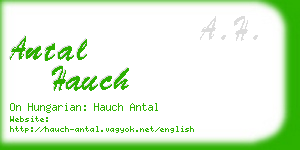 antal hauch business card